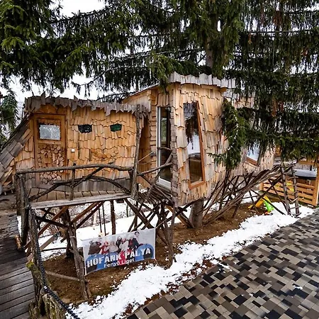 Fenyőliget - Nászutas