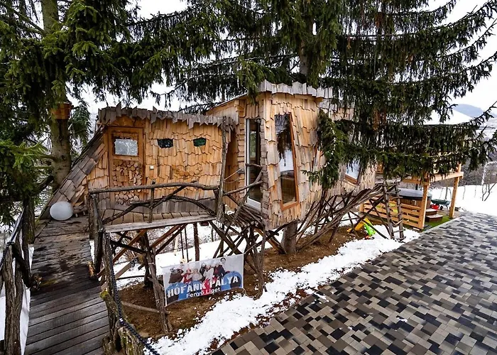 Fenyőliget - Nászutas